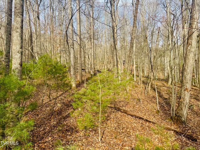 Tbd Black Bear Drive, Butler, TN 37640