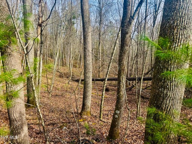 Tbd Black Bear Drive, Butler, TN 37640