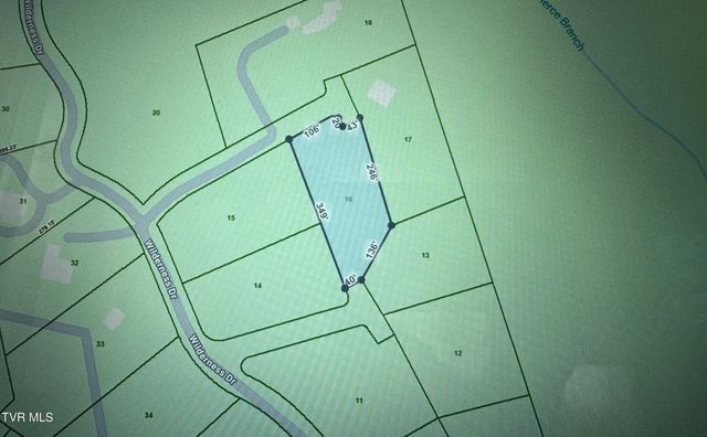 Tbd Black Bear Drive, Butler, TN 37640