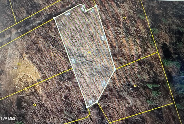 Tbd Black Bear Drive, Butler, TN 37640