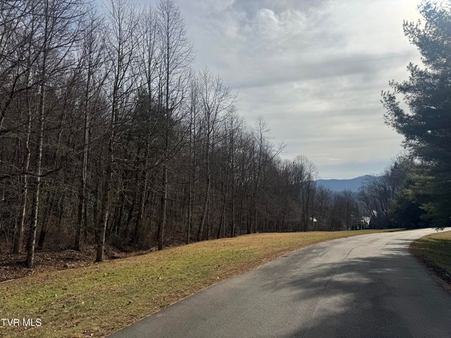 Tbd Black Bear Drive, Butler, TN 37640