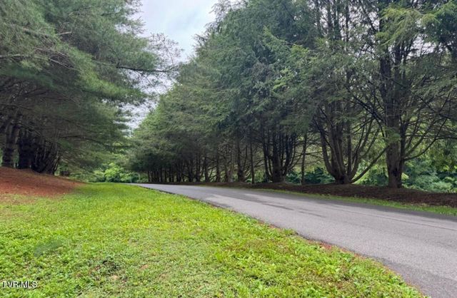 Tbd Black Bear Drive, Butler, TN 37640