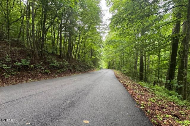 Tbd Black Bear Drive, Butler, TN 37640