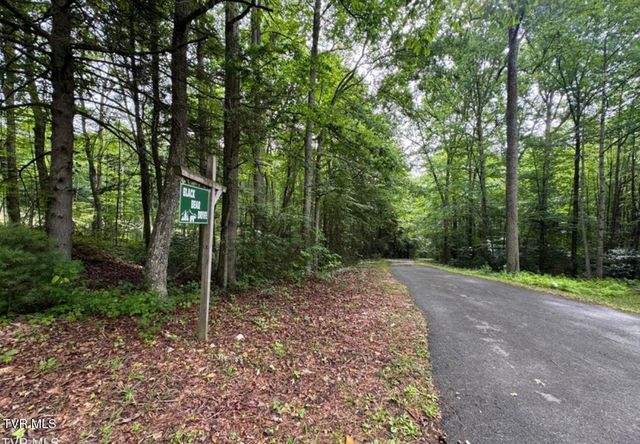 Tbd Black Bear Drive, Butler, TN 37640