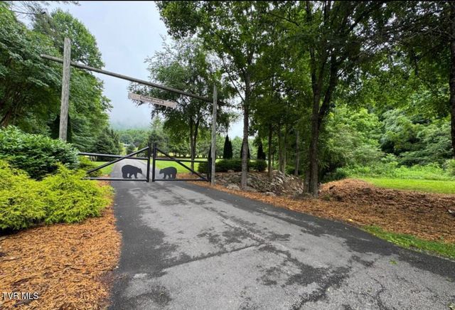 Tbd Black Bear Drive, Butler, TN 37640