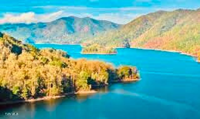 Tbd Black Bear Drive, Butler, TN 37640