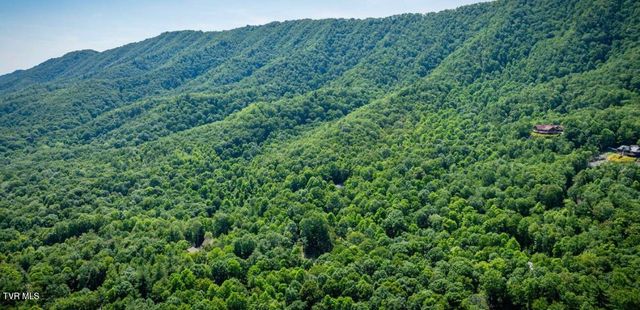 Tbd Black Bear Drive, Butler, TN 37640