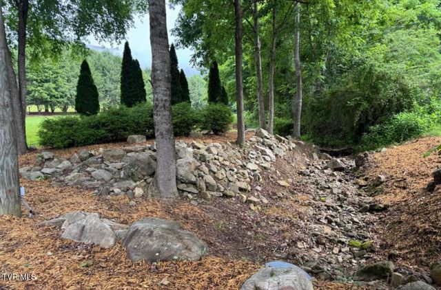 Tbd Black Bear Drive, Butler, TN 37640