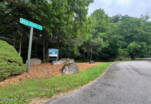 Tbd Black Bear Drive, Butler, TN 37640