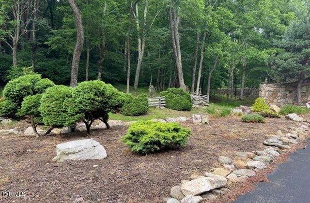 Tbd Black Bear Drive, Butler, TN 37640