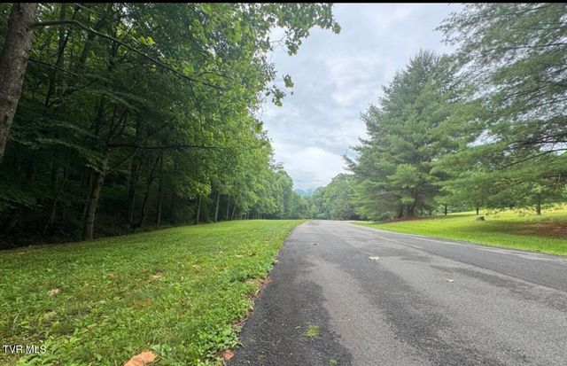 Tbd Black Bear Drive, Butler, TN 37640