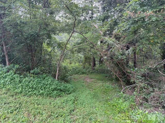 99999 Elk Mountain Ridge 12, Asheville, NC 28804