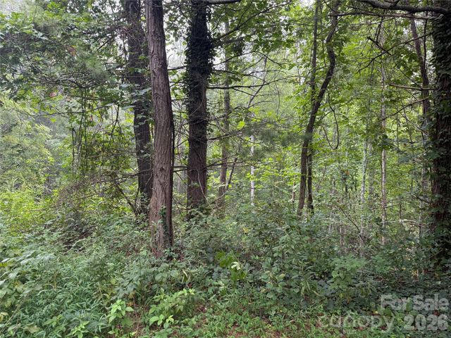 99999 Elk Mountain Ridge 12, Asheville, NC 28804