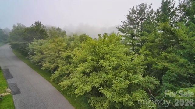 99999 Elk Mountain Ridge 12, Asheville, NC 28804
