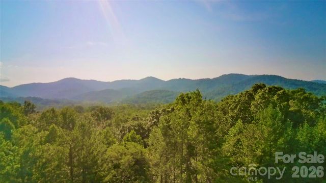 99999 Elk Mountain Ridge 12, Asheville, NC 28804