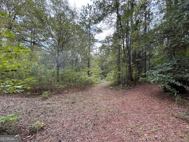 2734 Flat Shoals Road 19 AC, Concord, GA 30206