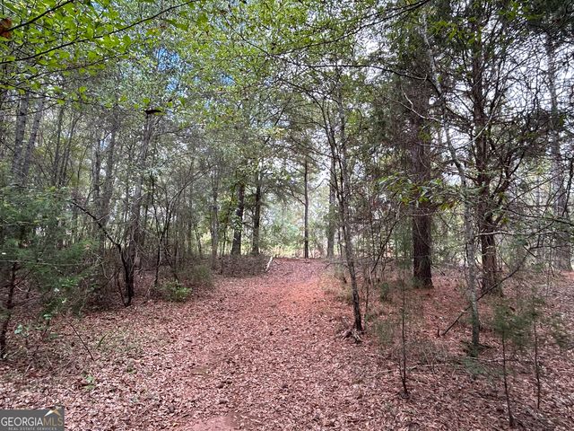 2734 Flat Shoals Road 19 AC, Concord, GA 30206