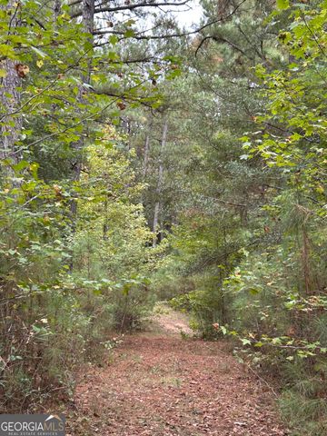 2734 Flat Shoals Road 19 AC, Concord, GA 30206