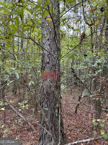 2734 Flat Shoals Road 19 AC, Concord, GA 30206