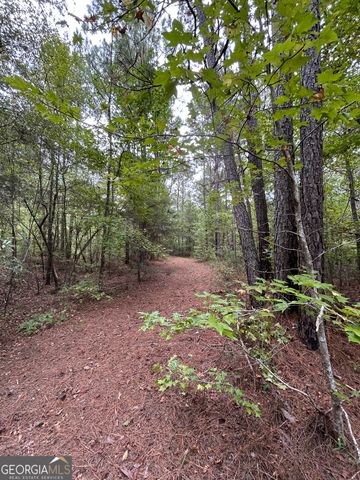 2734 Flat Shoals Road 19 AC, Concord, GA 30206