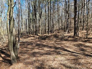 0 W Hwy 2, Crandall, GA 30711