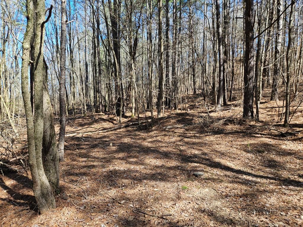 0 W Hwy 2, Crandall, GA 30711