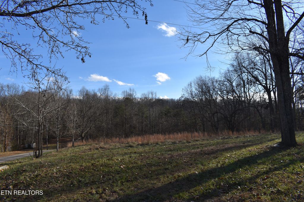 40 & 41 Bark Lane, Speedwell, TN 37870