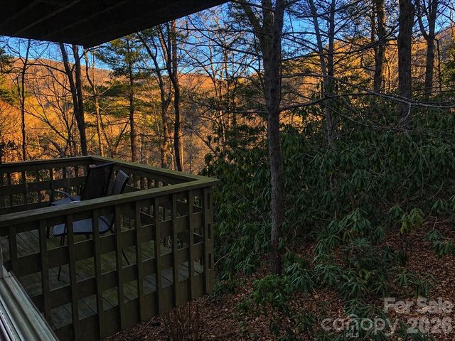 135 Mountain Village Boulevard 2005, Lake Lure, NC 28746