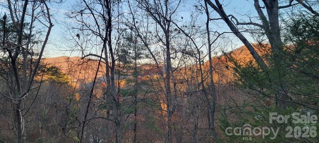 135 Mountain Village Boulevard 2005, Lake Lure, NC 28746