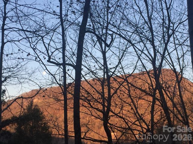 135 Mountain Village Boulevard 2005, Lake Lure, NC 28746
