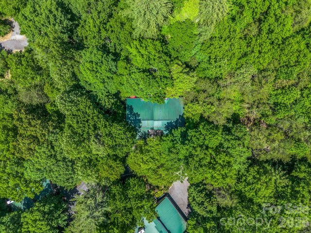 135 Mountain Village Boulevard 2005, Lake Lure, NC 28746