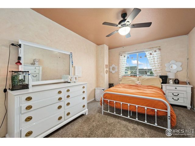 368 Mt Bross Ave, Severance, CO 80550