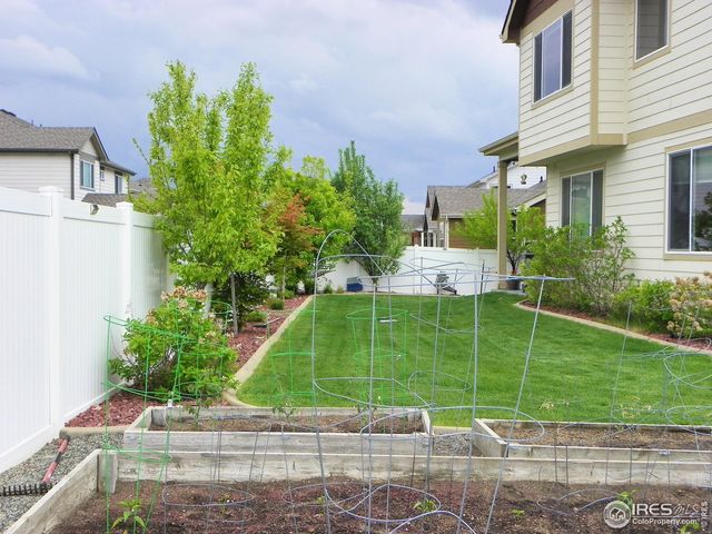 368 Mt Bross Ave, Severance, CO 80550