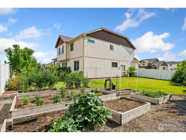 368 Mt Bross Ave, Severance, CO 80550