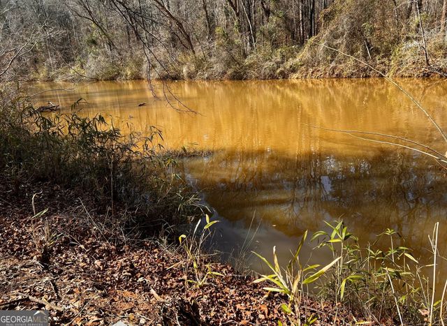 1918 Woodland Road, Thomaston, GA 30286