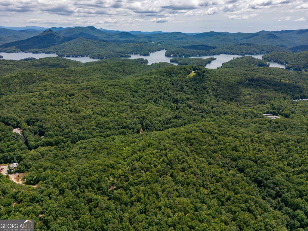 0 Hwy 197, Clarkesville, GA 30523 — photo 2
