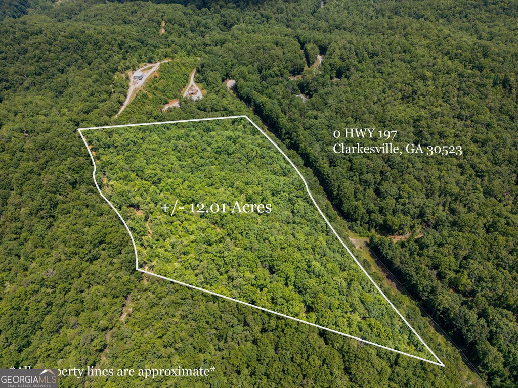0 Hwy 197, Clarkesville, GA 30523 — photo 3