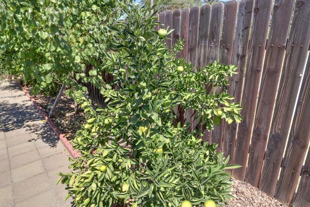 10039 Nebula Way, Sacramento, CA 95827