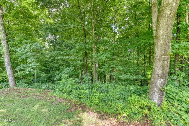210 Telford Road, Telford, TN 37690