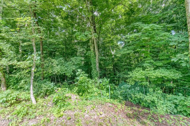210 Telford Road, Telford, TN 37690
