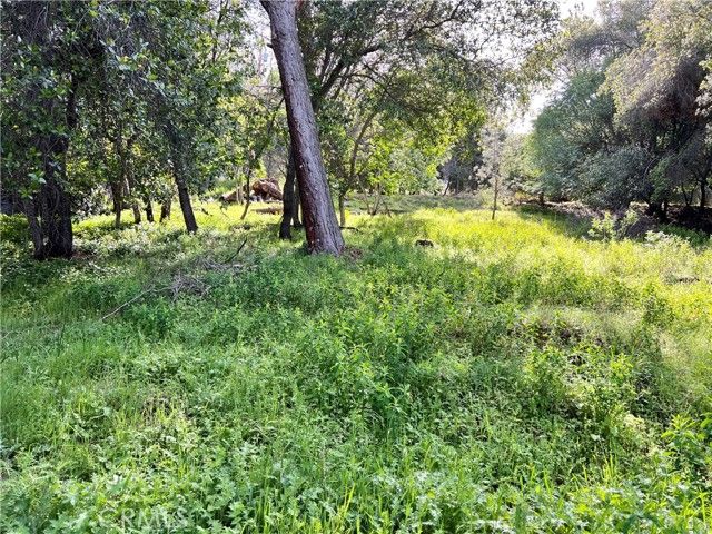 3356 Southlake Court, Kelseyville, CA 95451