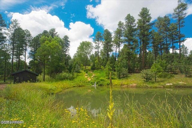 400 N MADRON Lane, Show Low, AZ 85901