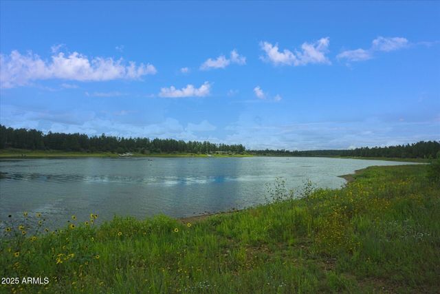 400 N MADRON Lane, Show Low, AZ 85901