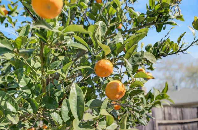 7323 CARRIAGE Dr, Citrus Heights, CA 95621