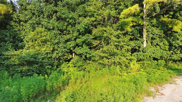 25973 Sussex, New Caney, TX 77357