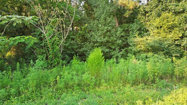 25973 Sussex, New Caney, TX 77357