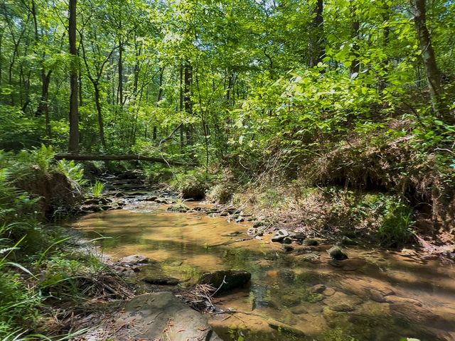 824 Bridge Road, Ellijay, GA 30540
