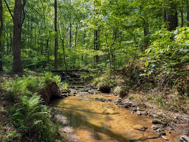 824 Bridge Road, Ellijay, GA 30540