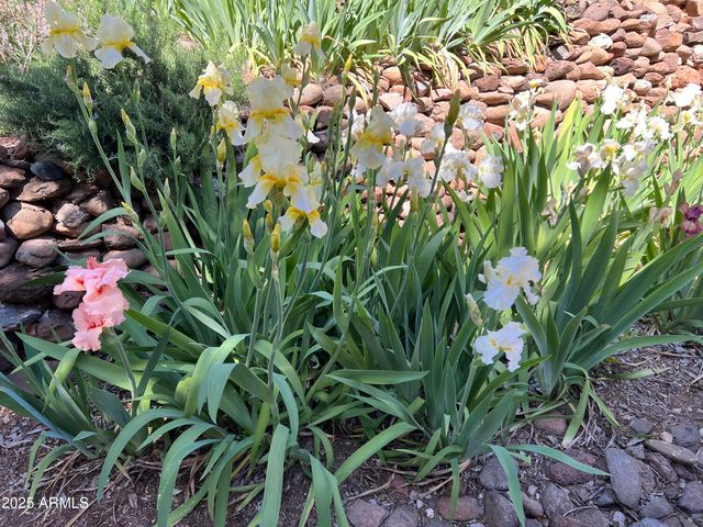 10580 E SWINGING BRIDGE Lane, Cornville, AZ 86325