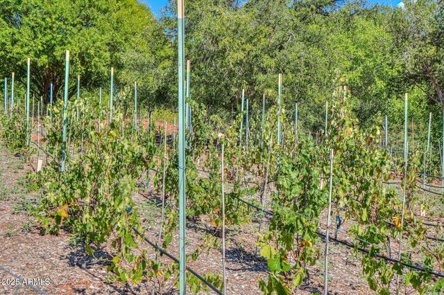 10580 E SWINGING BRIDGE Lane, Cornville, AZ 86325